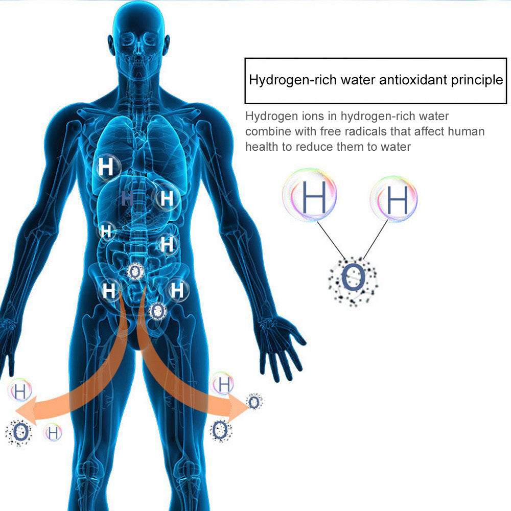 Hydrogen Water Generator Bottle